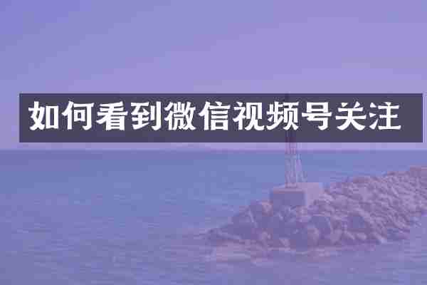 如何看到微信视频号关注