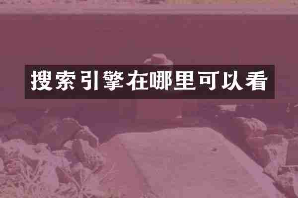 搜索引擎在哪里可以看