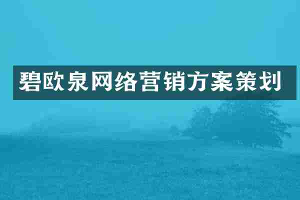碧欧泉网络营销方案策划