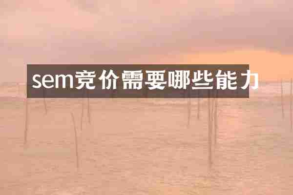 sem竞价需要哪些能力
