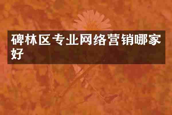 碑林区专业网络营销哪家好