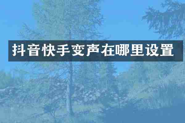 抖音快手变声在哪里设置