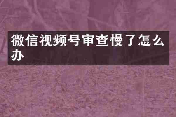 微信视频号审查慢了怎么办