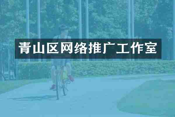 青山区网络推广工作室