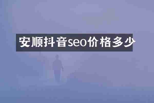 安顺抖音seo价格多少