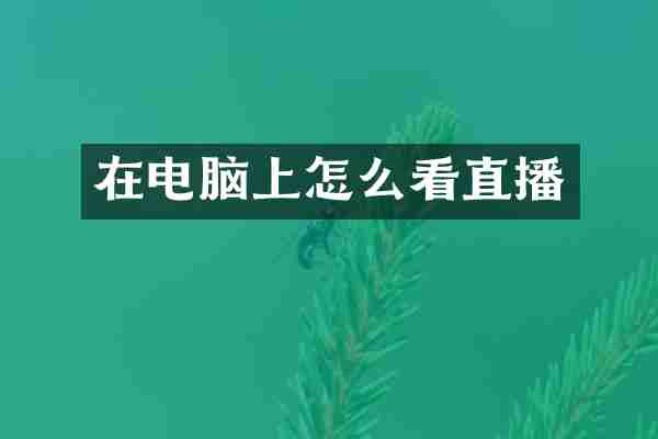 在电脑上怎么看直播