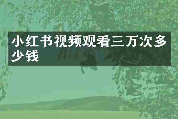 小红书视频观看三万次多少钱