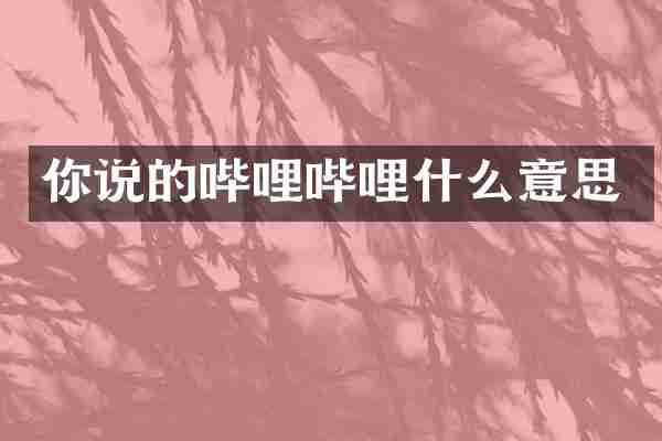 你说的哔哩哔哩什么意思