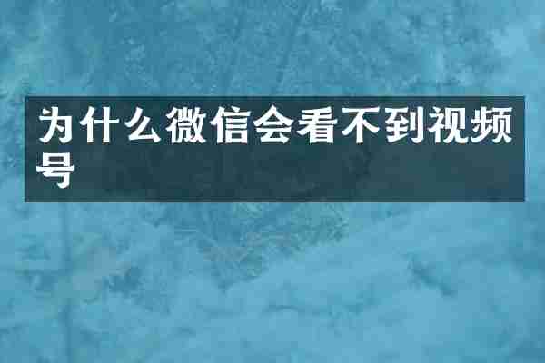 为什么微信会看不到视频号