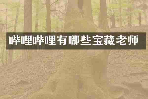 哔哩哔哩有哪些宝藏老师