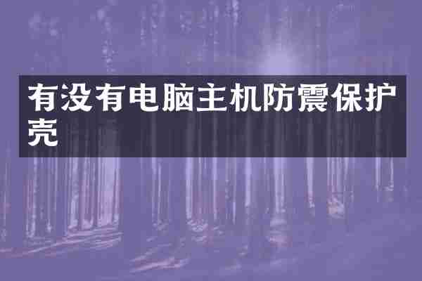 有没有电脑主机防震保护壳