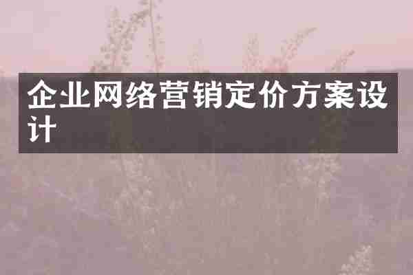 企业网络营销定价方案设计