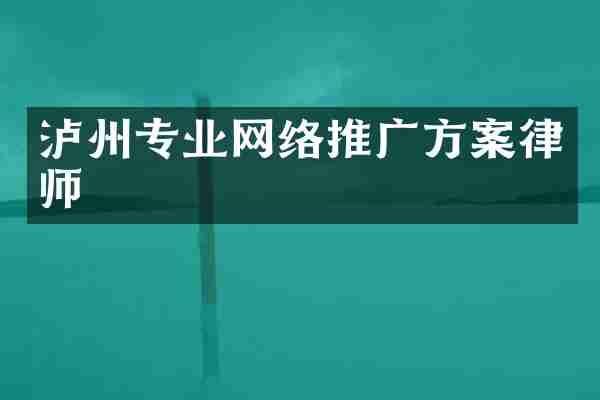 泸州专业网络推广方案律师