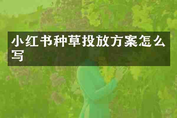 小红书种草投放方案怎么写