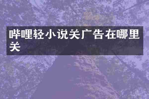 哔哩轻小说关广告在哪里关