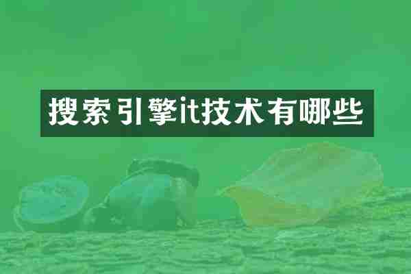 搜索引擎it技术有哪些