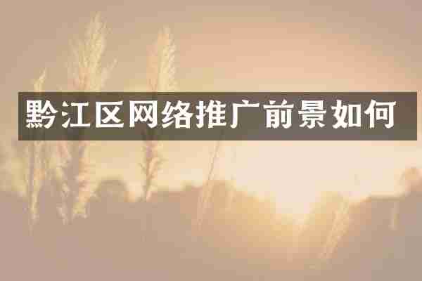 黔江区网络推广前景如何