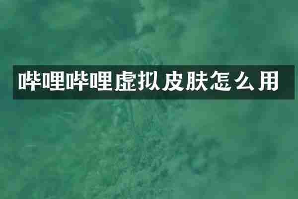 哔哩哔哩虚拟皮肤怎么用