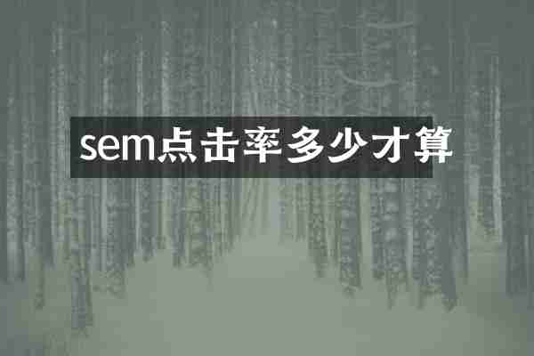 sem点击率多少才算