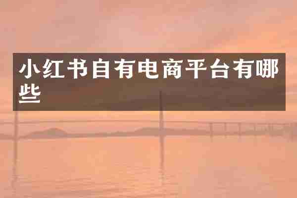 小红书自有电商平台有哪些