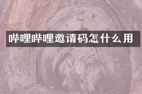 哔哩哔哩邀请码怎什么用