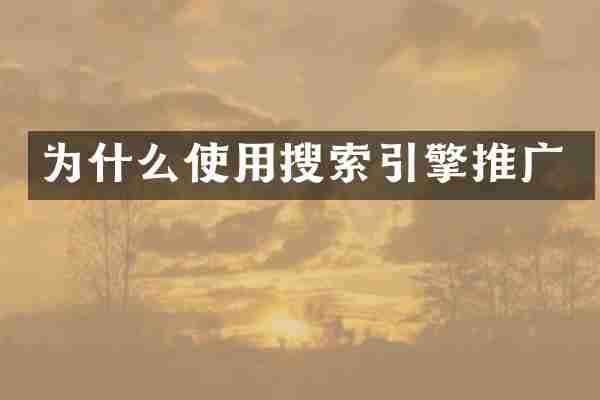 为什么使用搜索引擎推广