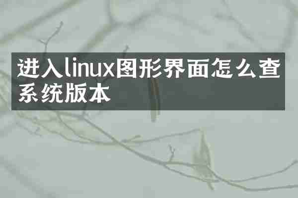 进入linux图形界面怎么查看系统版本