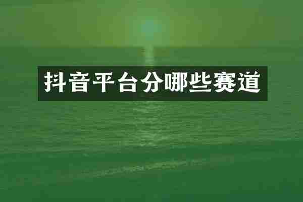抖音平台分哪些赛道