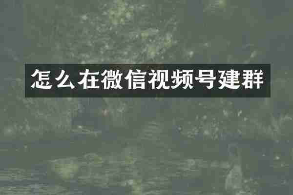 怎么在微信视频号建群