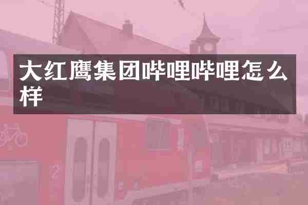 大红鹰集团哔哩哔哩怎么样