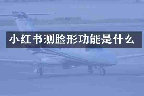小红书测脸形功能是什么