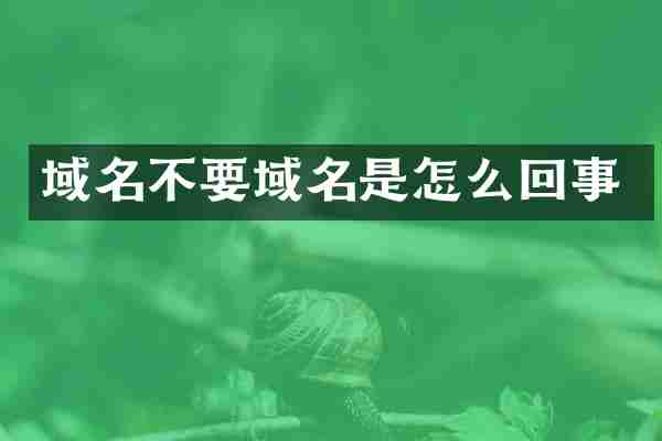 域名不要域名是怎么回事
