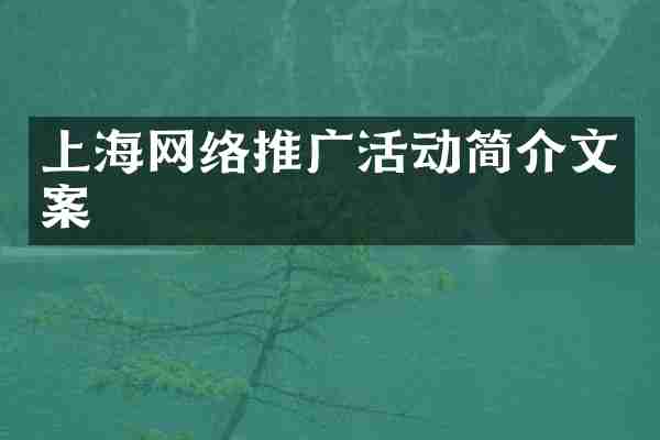 上海网络推广活动简介文案