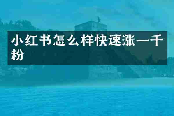 小红书怎么样快速涨一千粉