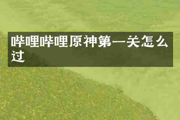 哔哩哔哩原神第一关怎么过