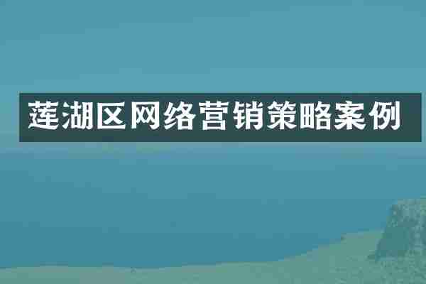 莲湖区网络营销策略案例
