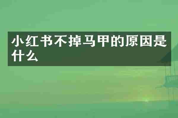 小红书不掉马甲的原因是什么