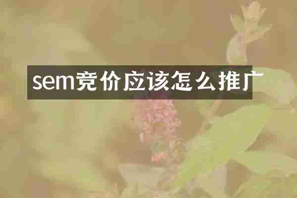 sem竞价应该怎么推广