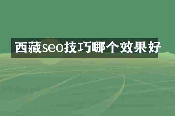 西藏seo技巧哪个效果好