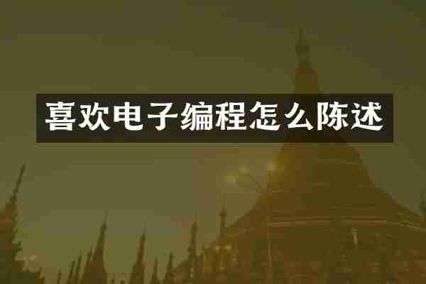 喜欢电子编程怎么陈述