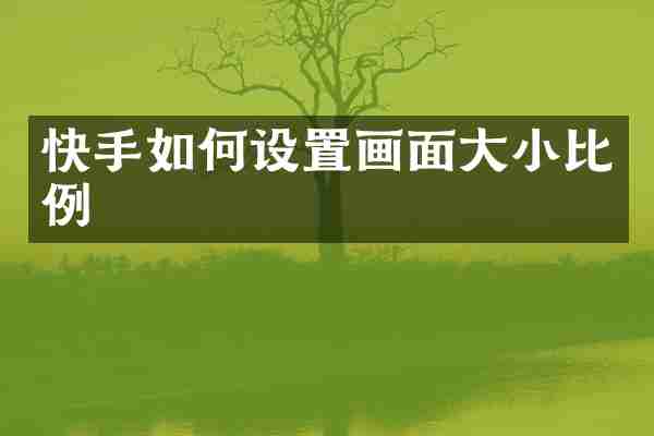 快手如何设置画面大小比例