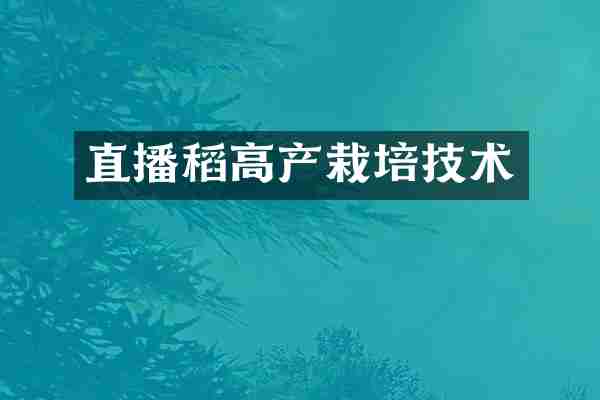直播稻高产栽培技术