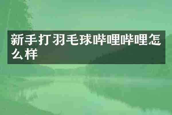 新手打羽毛球哔哩哔哩怎么样