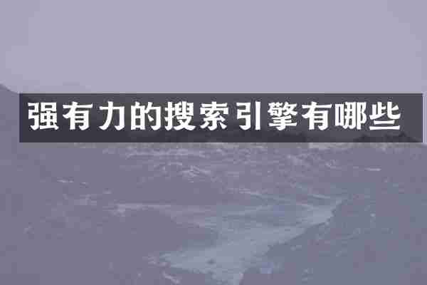 强有力的搜索引擎有哪些