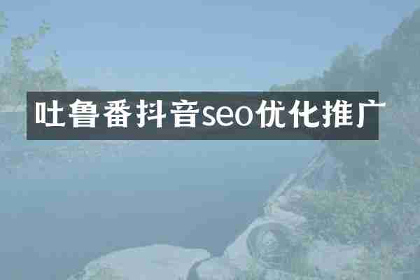 吐鲁番抖音seo优化推广