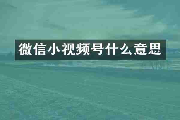 微信小视频号什么意思