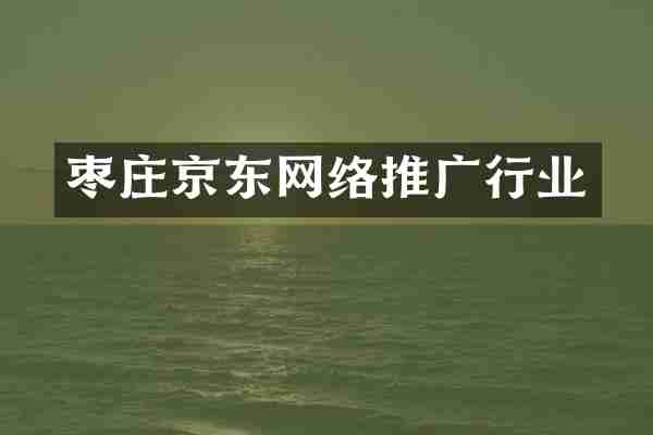 枣庄京东网络推广行业