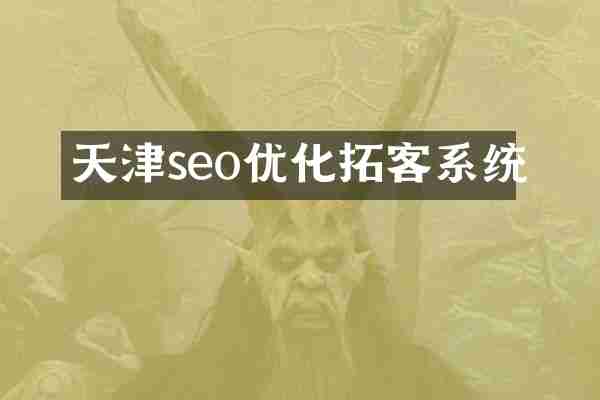天津seo优化拓客系统