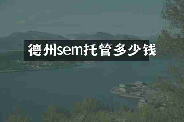 德州sem托管多少钱