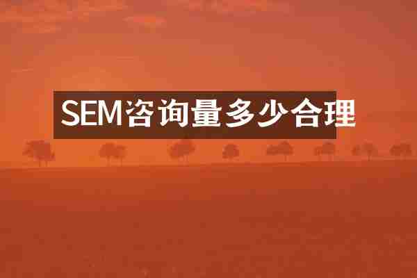 SEM咨询量多少合理